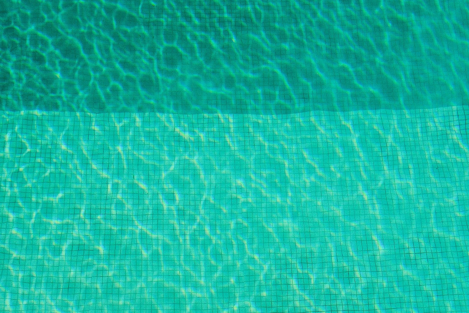 DSCF2930.jpg