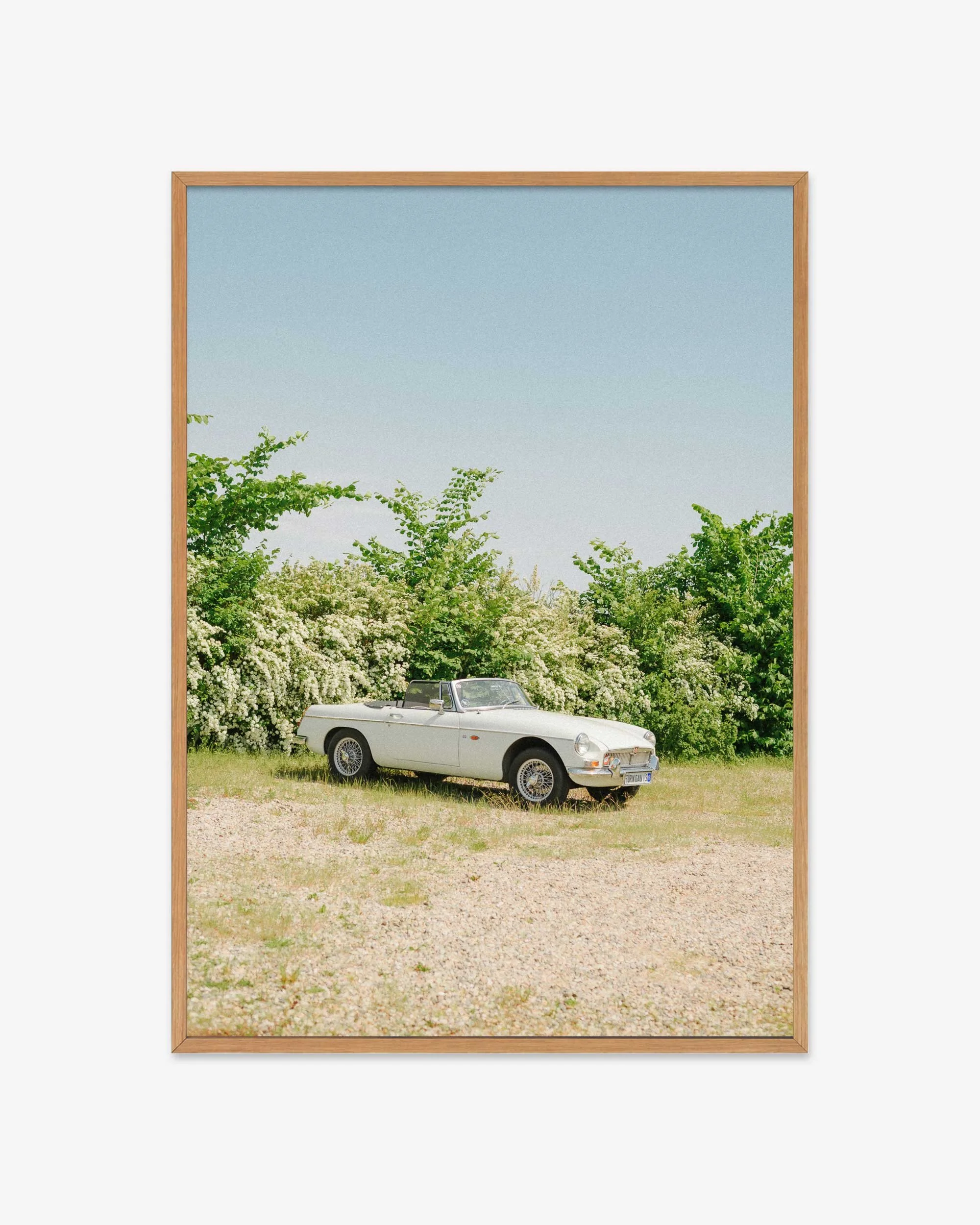 MG_C_CAR_02.jpg