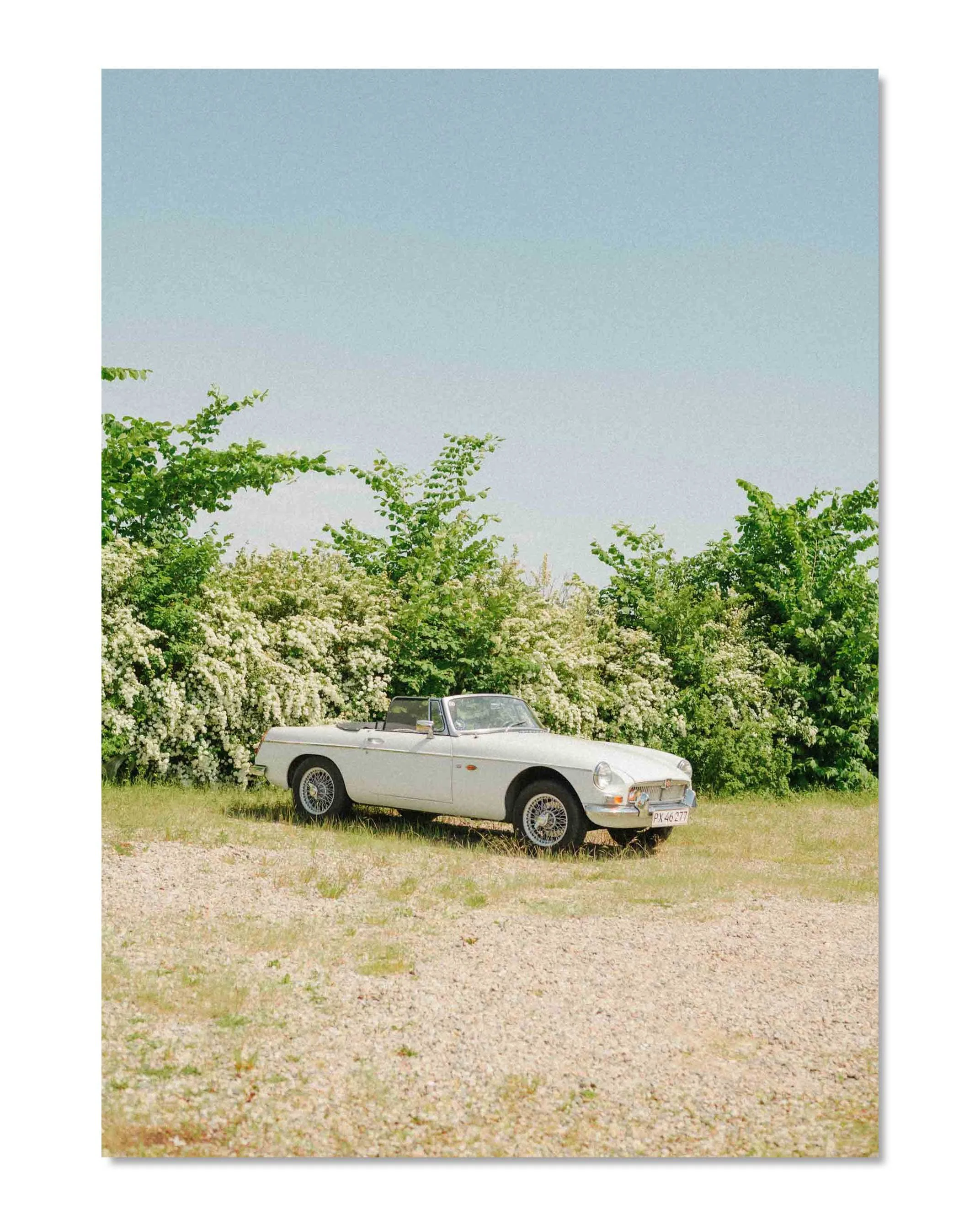 MG-C-PHOTOGRAPHY.jpg