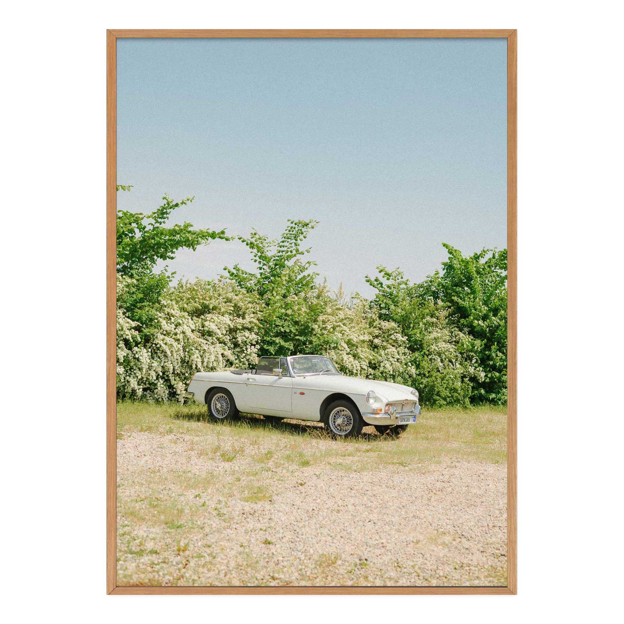 MG C