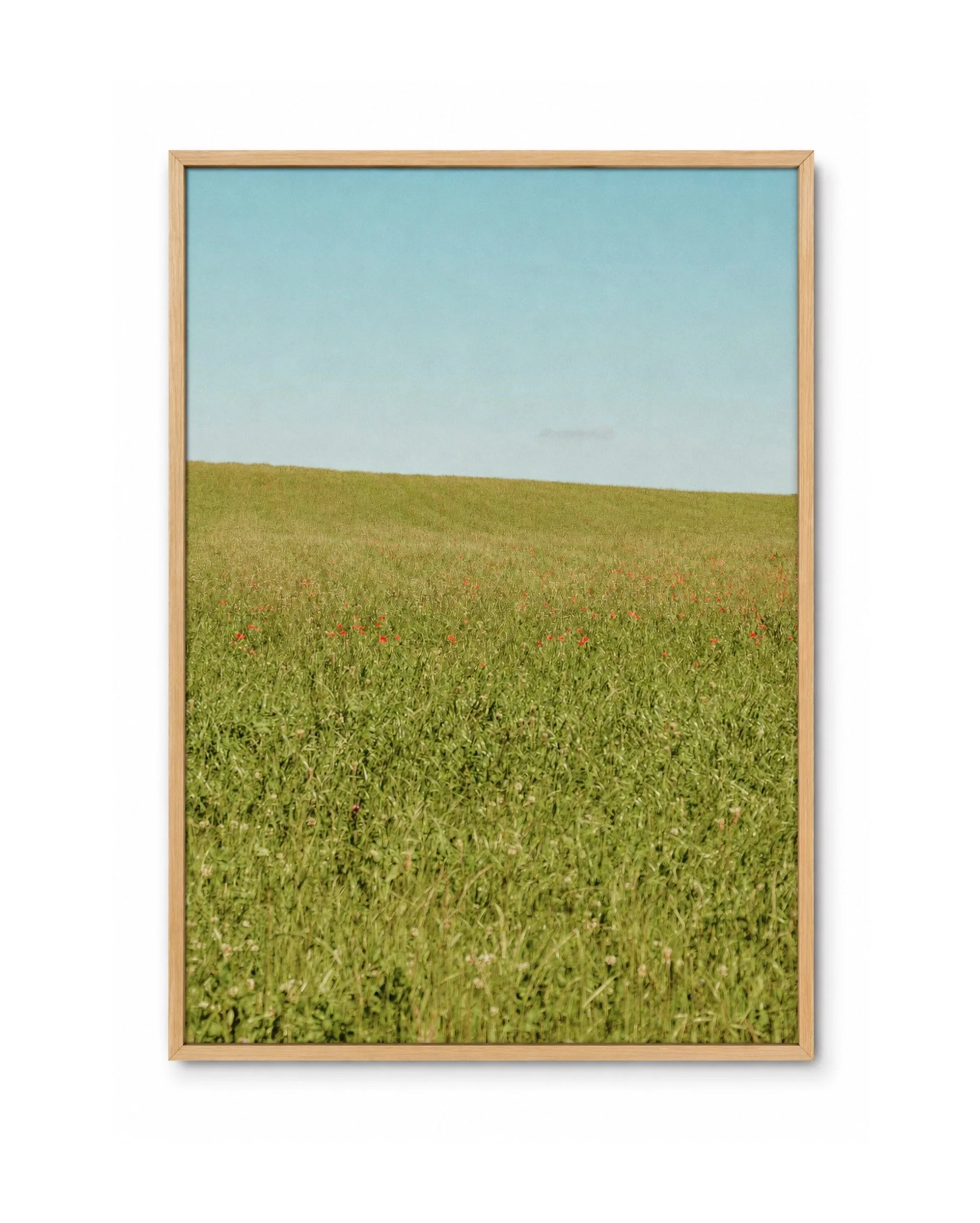 WHERE THE GRAS ENDS wood frame.jpg