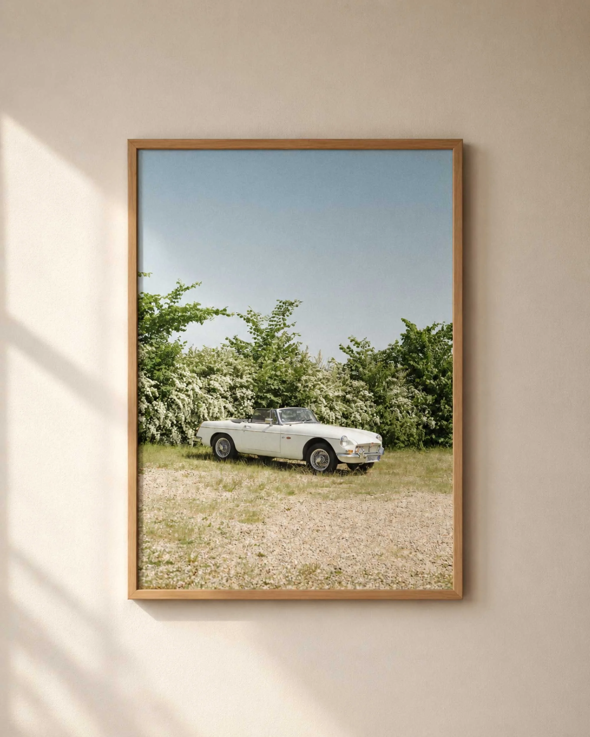 MG_C_CAR_04.jpg
