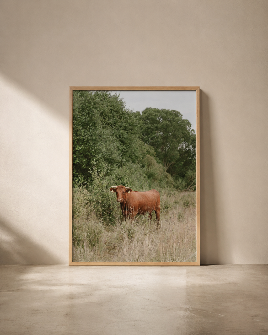 BOWN_COW_PHOTOGRAPHY_IN_FRAME_FLOOR.png