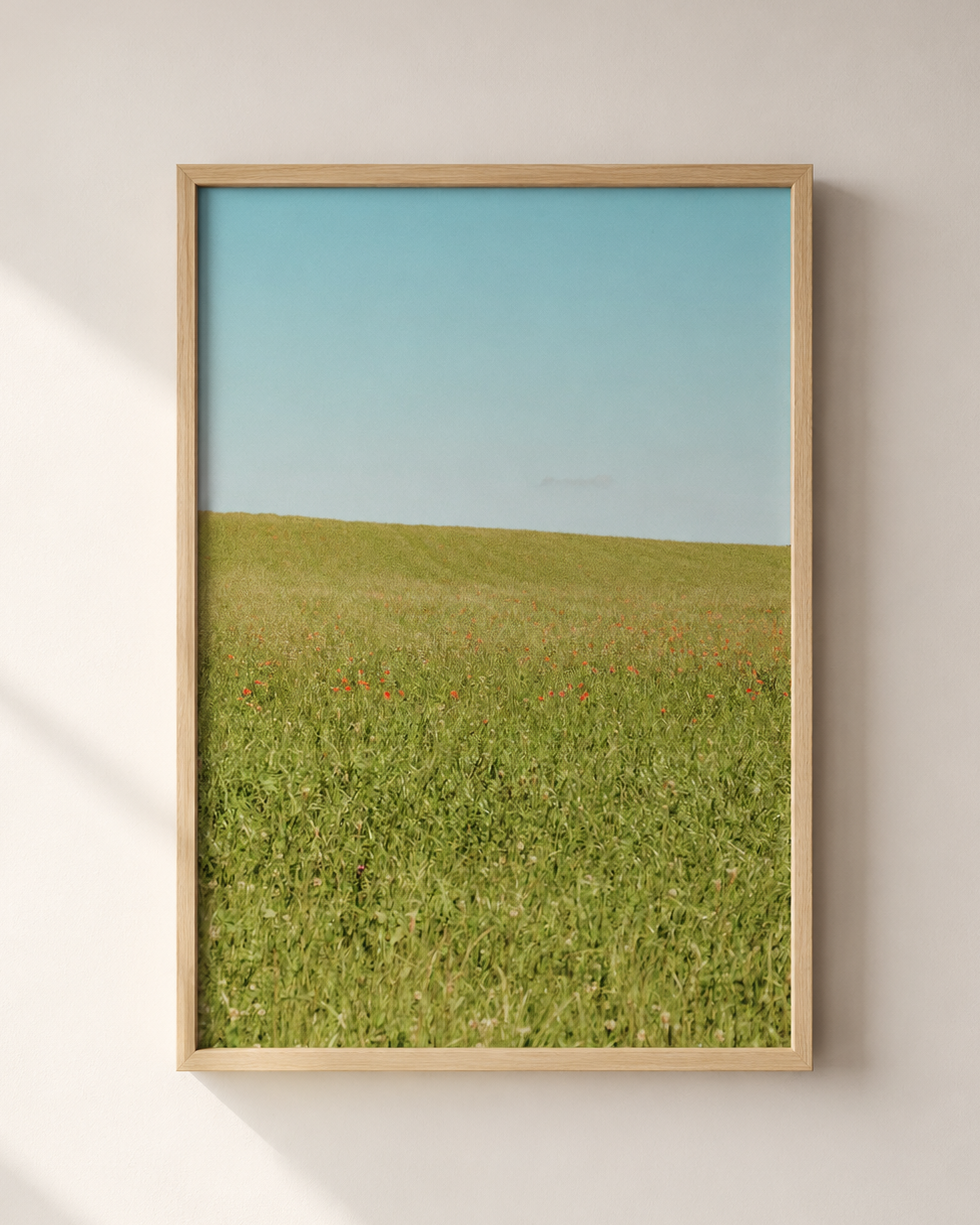 WHERE THE GRAS ENDS MOCKUP.png