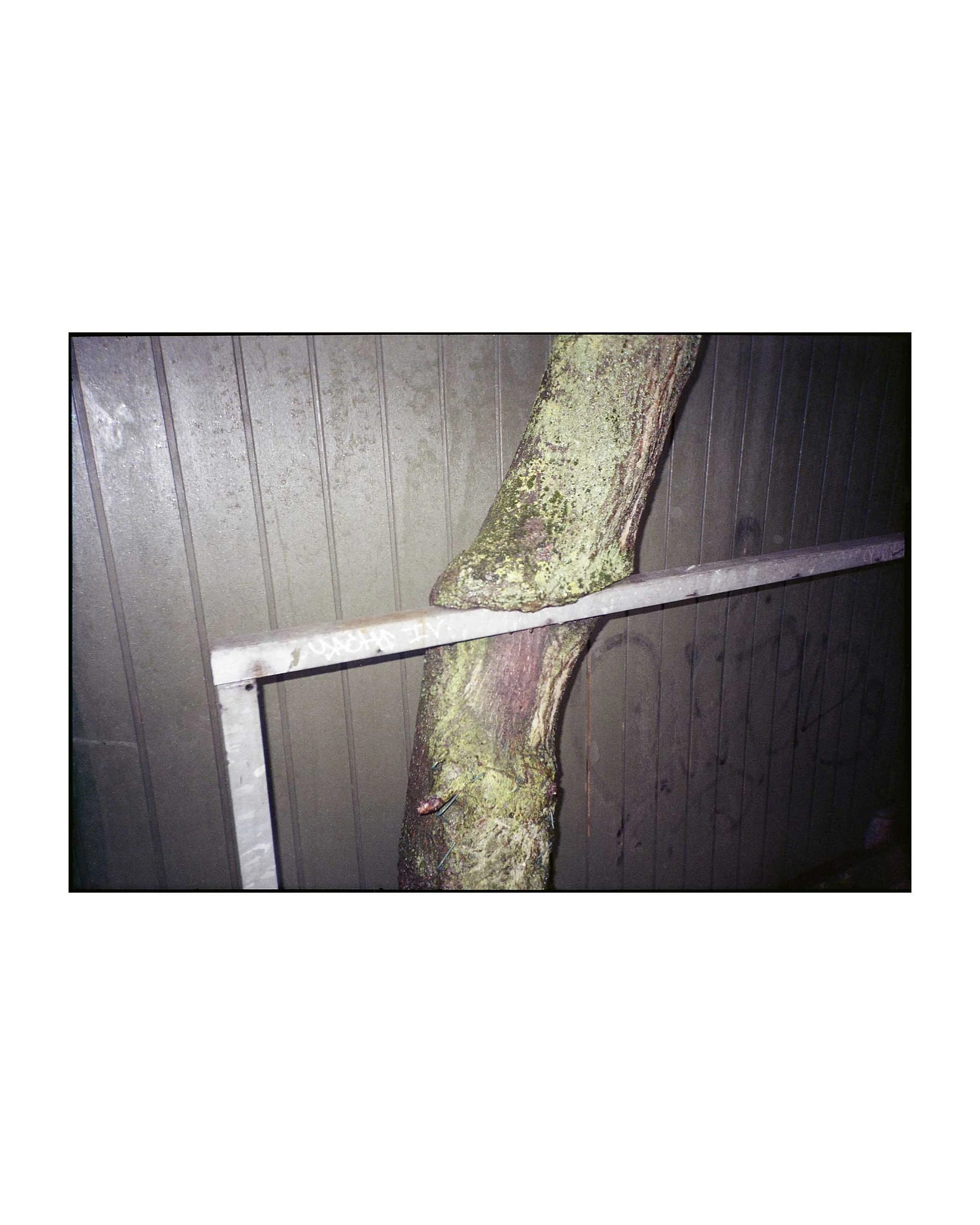 FRIKTION_02.jpg