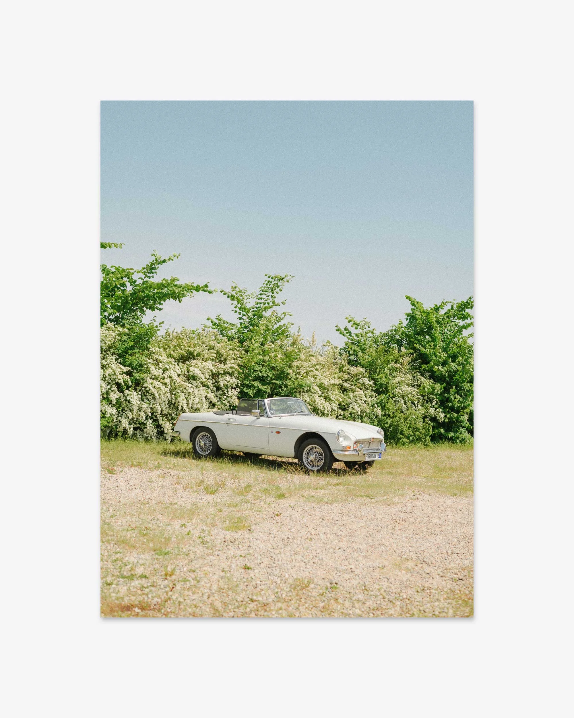 MG_C_CAR_03.jpg