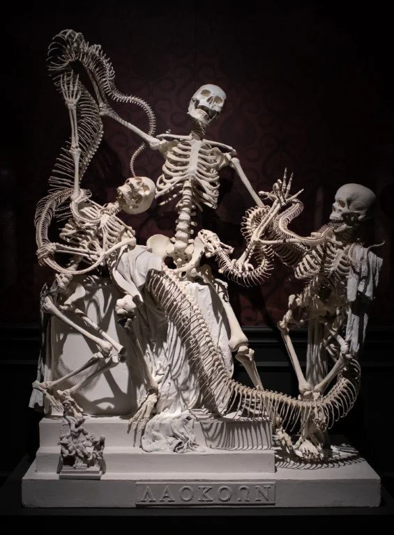 Copy of Copy of untitled-1117.jpg