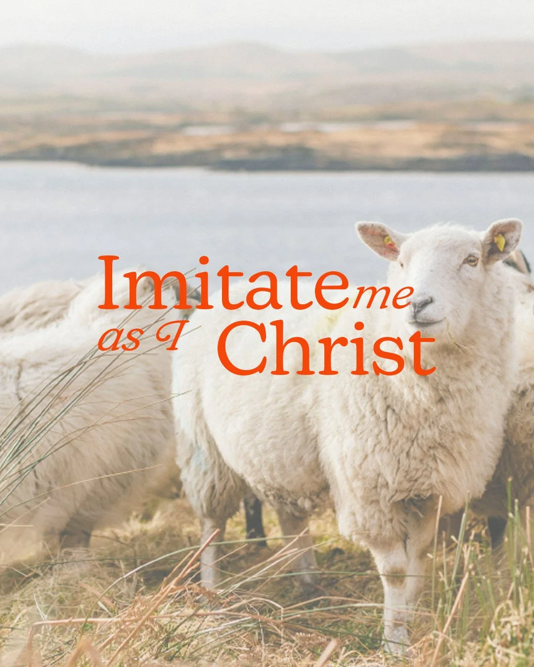 As we continue in our series 'Imitate Me As I Imitate Christ,' we are encouraged to simultaneously take off our crown and pick up our cross.

Our crown refers to living our own way, seeking to satisfy the desires of our flesh in an attempt to achieve