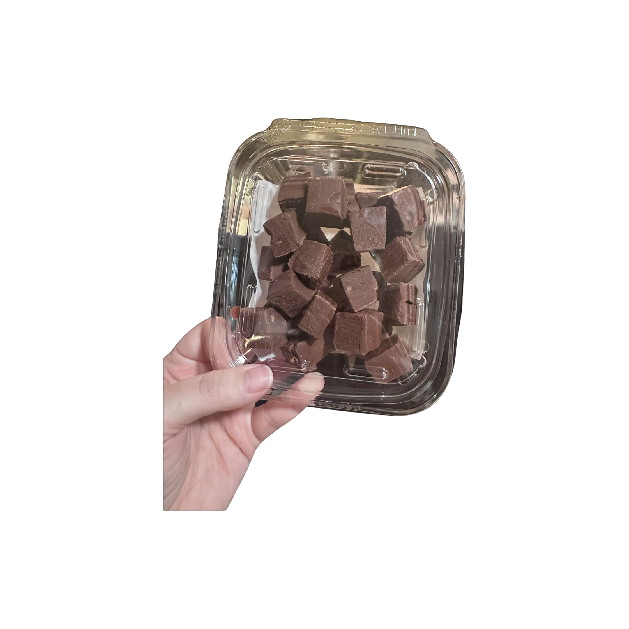 Chocolate Fudge Nibblers