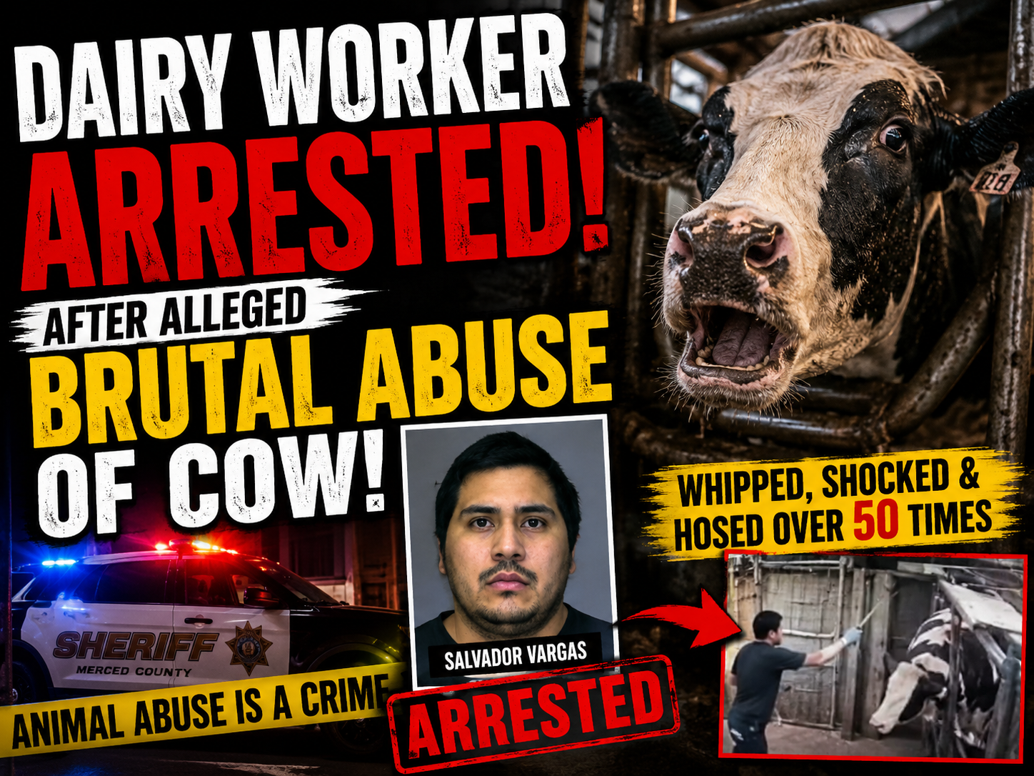 Los Banos Man Accused of Repeatedly Abusing Dairy Cow