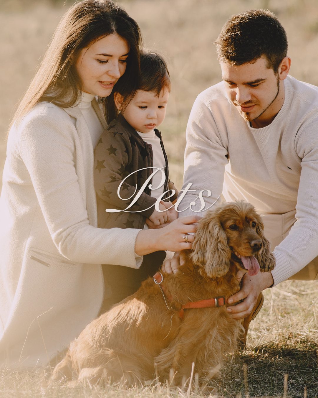 Pets