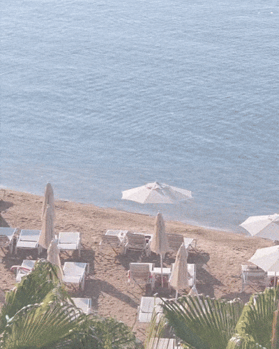 ROMA_PORTRAIT (1).gif