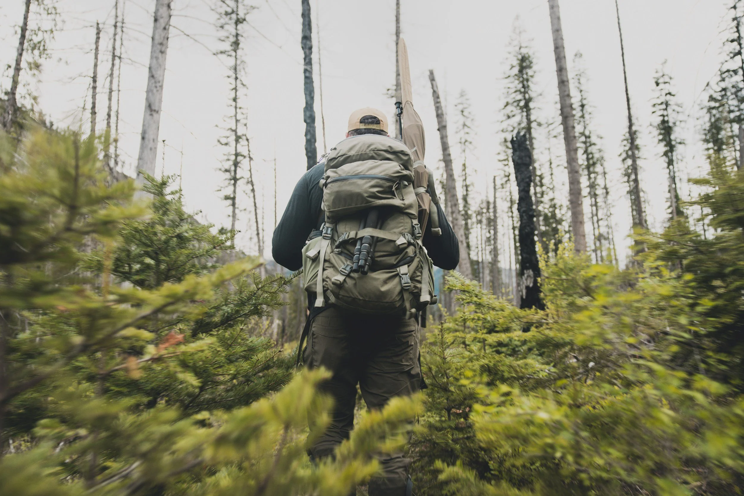 Back view of a person hiking through a forest with tall trees and green bushes, carrying a large backpack and a rifle.