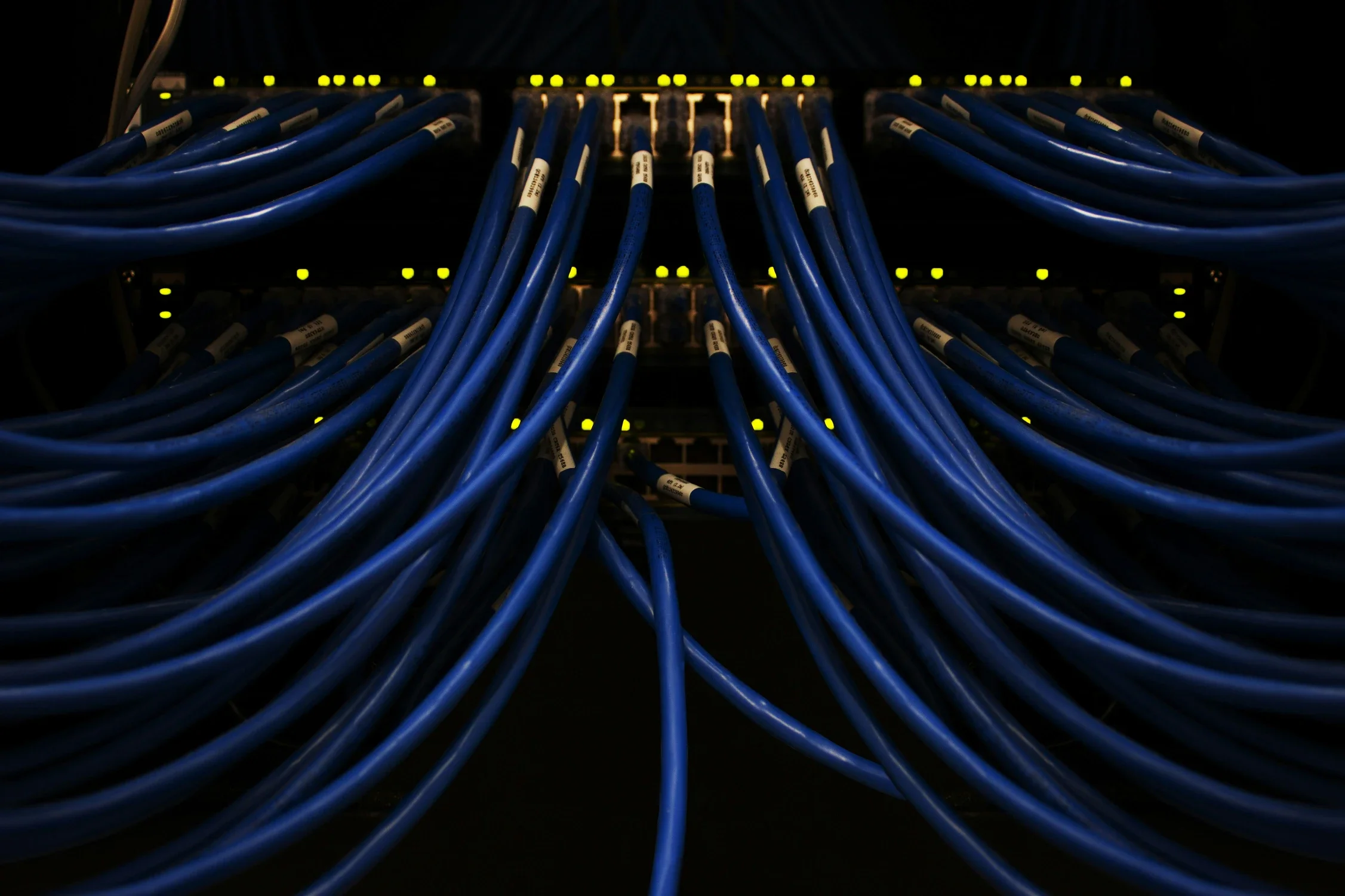 Network cables connected to a switch or router with LED indicator lights.
