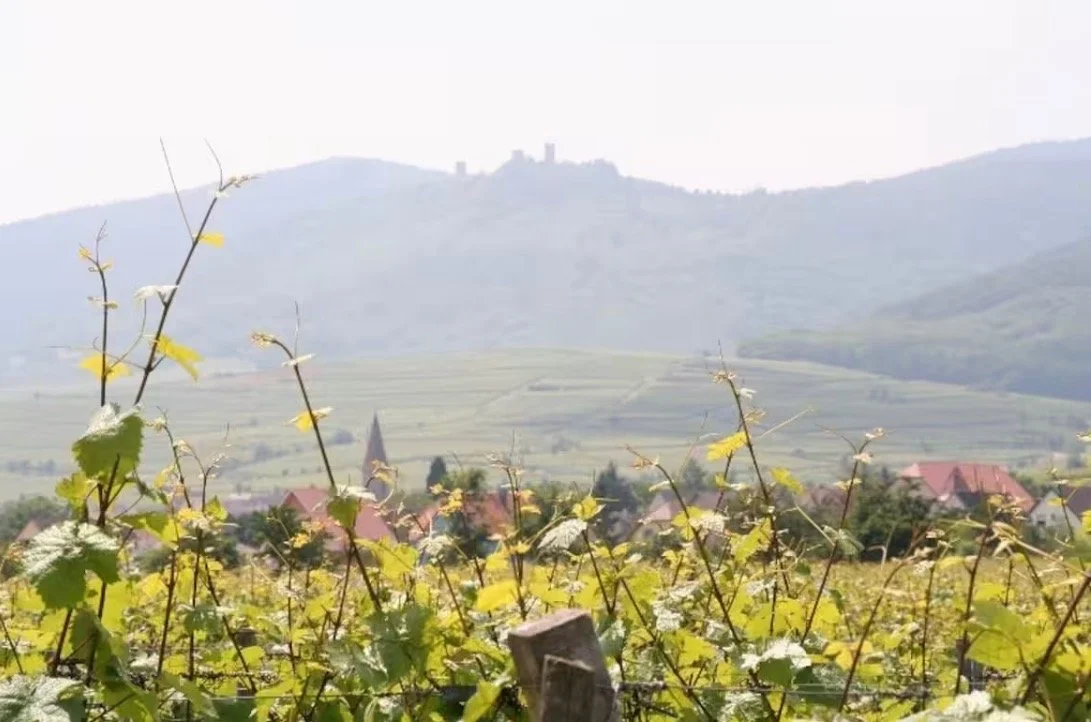 Hot Tub Breakfast at the Vineyard