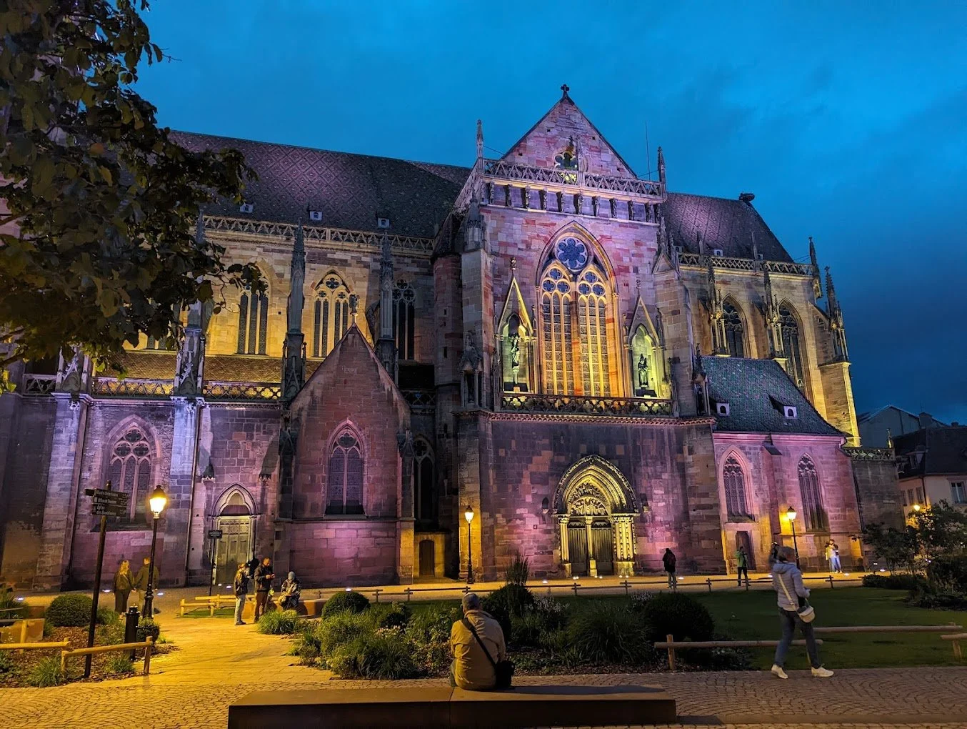 Dining and Discovery in Belle's Town