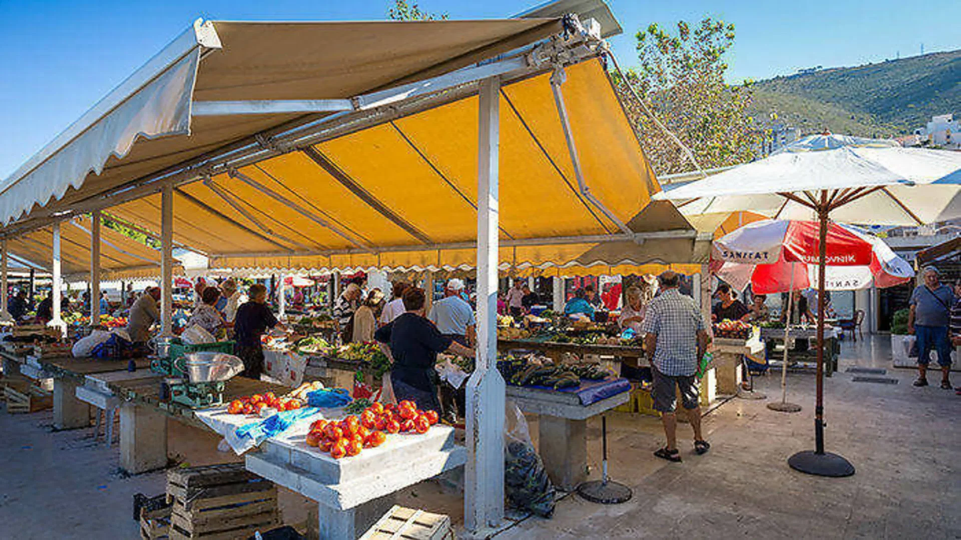 Old Town Market Tour and Oysters