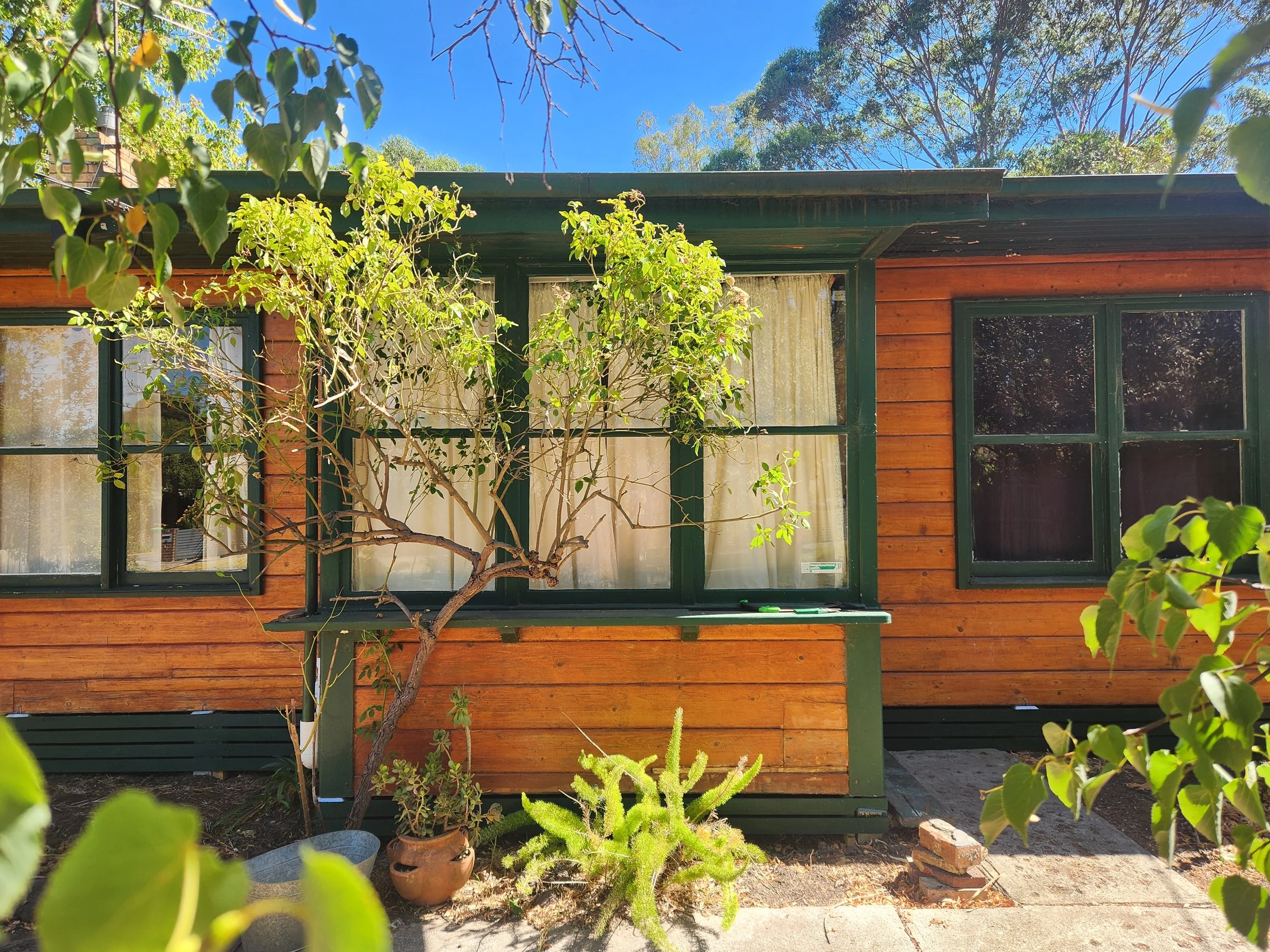 Front view of a wooden house with green window frames, surrounded by plants and trees, under a clear blue sky.