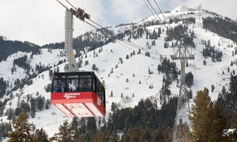 A red gondola lift named 'Jackson Hole' ascending a snowy mountain with trees.
