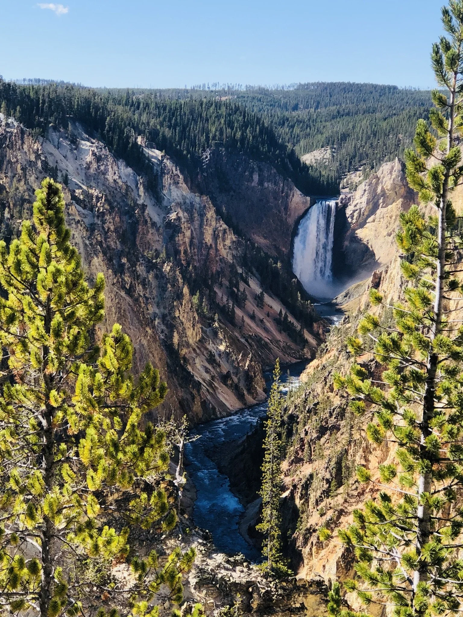 View of a waterfall cascading into a deep canyon with a river at the bottom, surrounded by green pine trees and rocky cliffs under a clear blue sky.