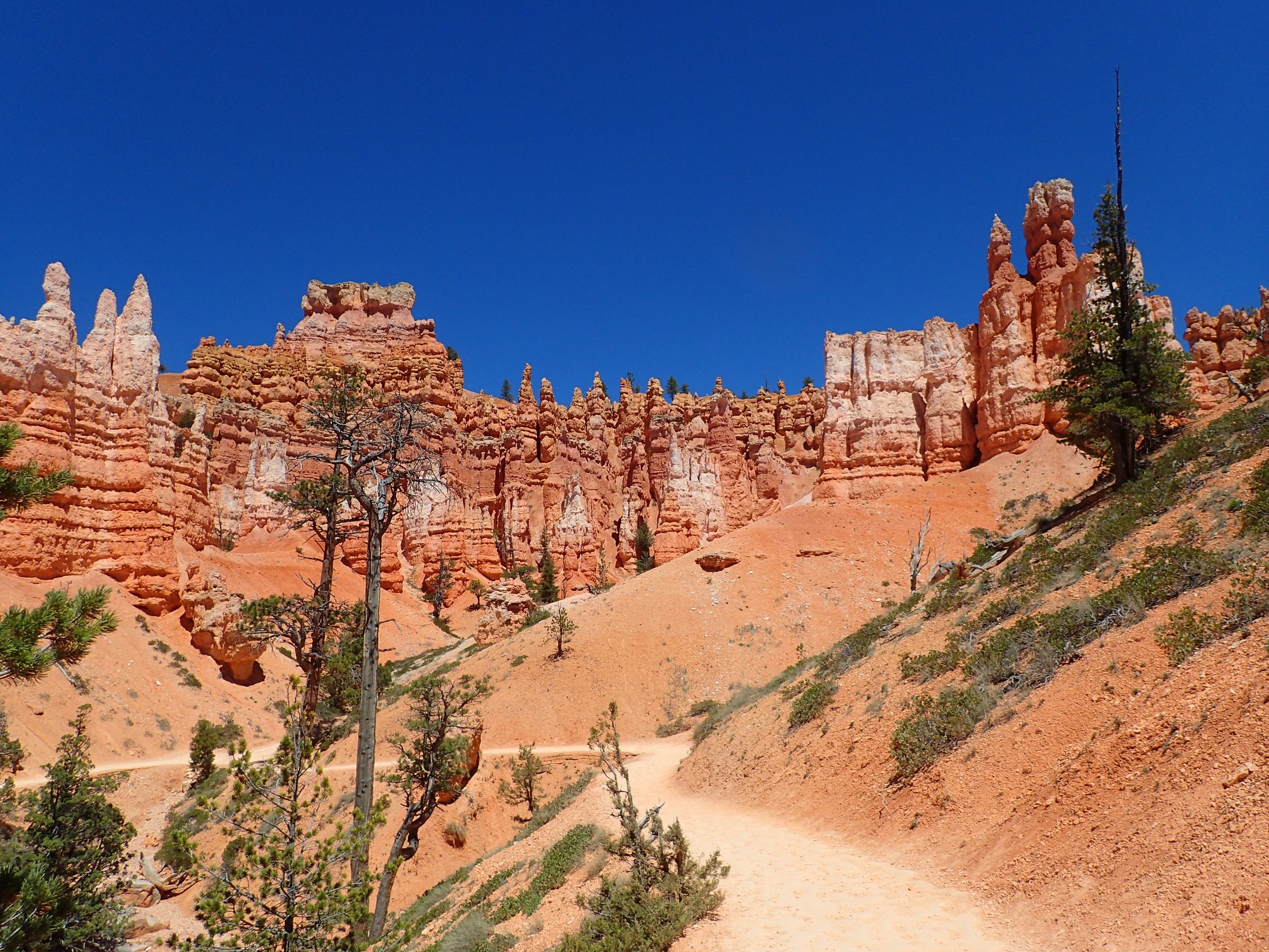 A scenic view of Bryce Canyon with orange rock formations, trees, and a dirt trail under a clear blue sky.