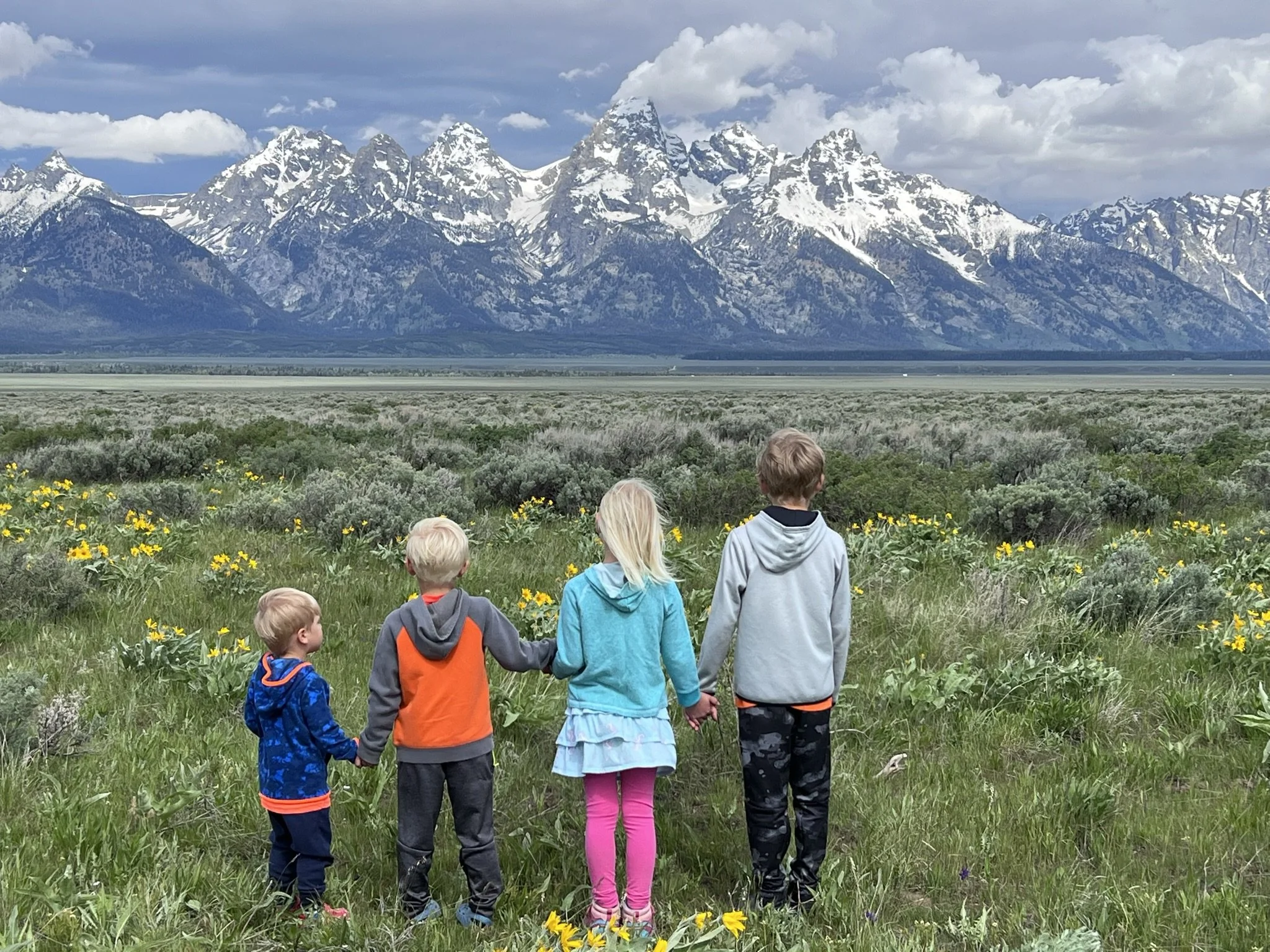Four children holding hands in a grassy field with yellow flowers, overlooking a mountain range with snow-capped peaks.