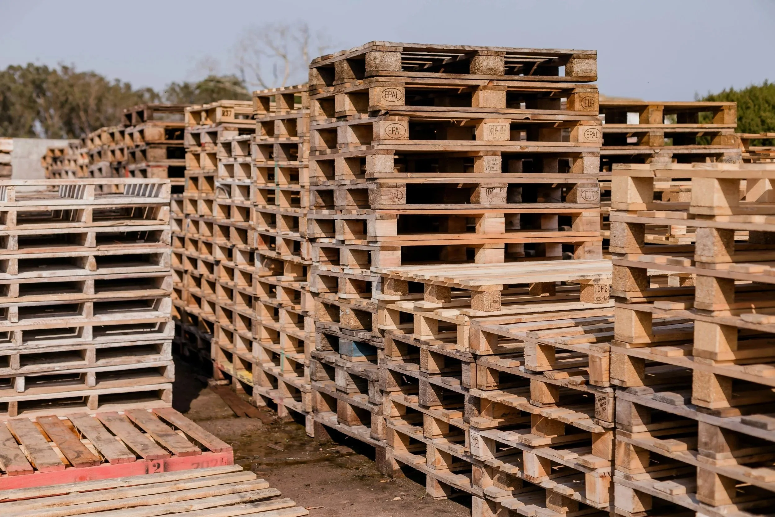 Ci occupiamo della progettazione e fornitura di bancali su misura, personalizzati per dimensioni e portata in base alle Vostre esigenze tecniche.