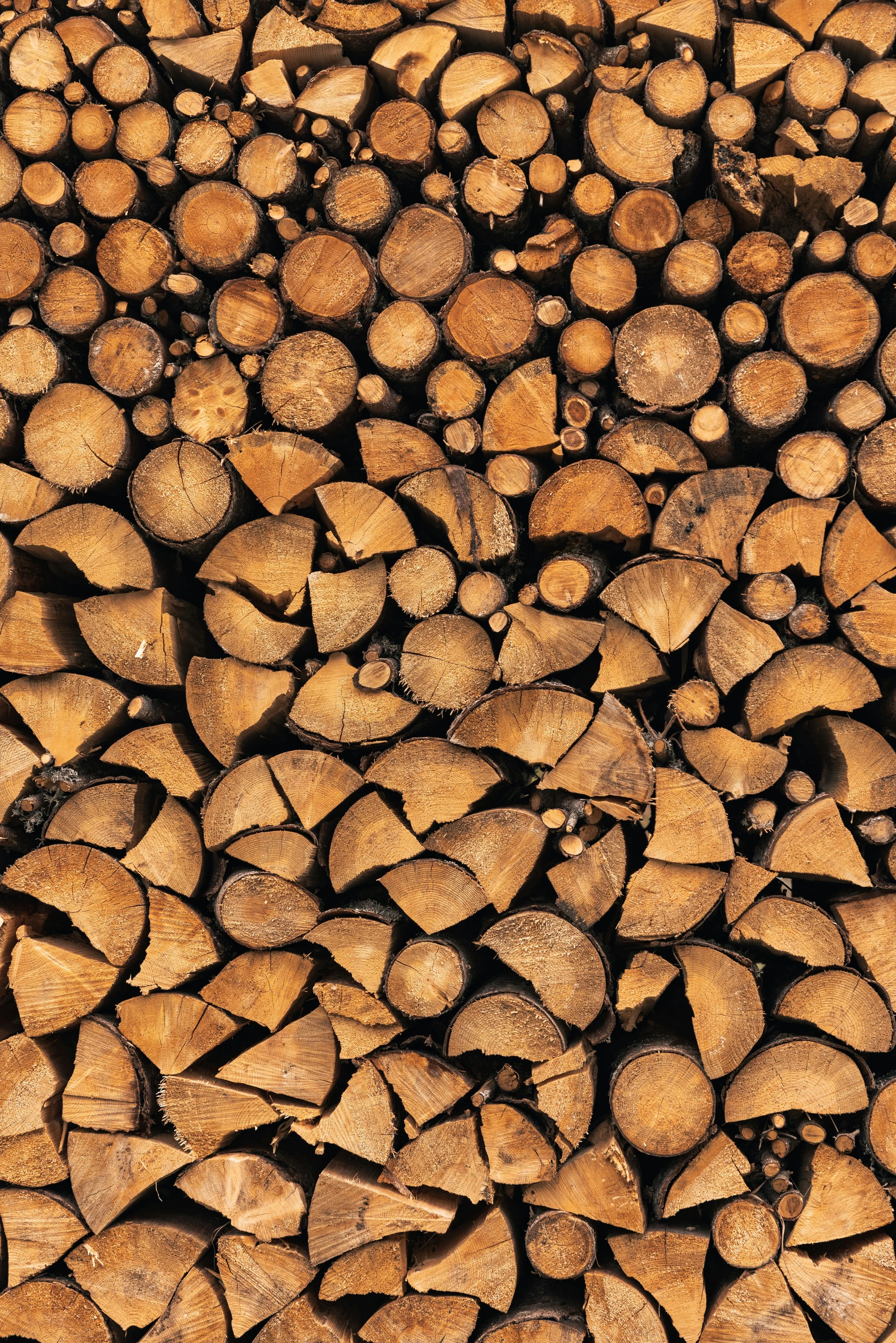 Rami di legno tagliati e impilati