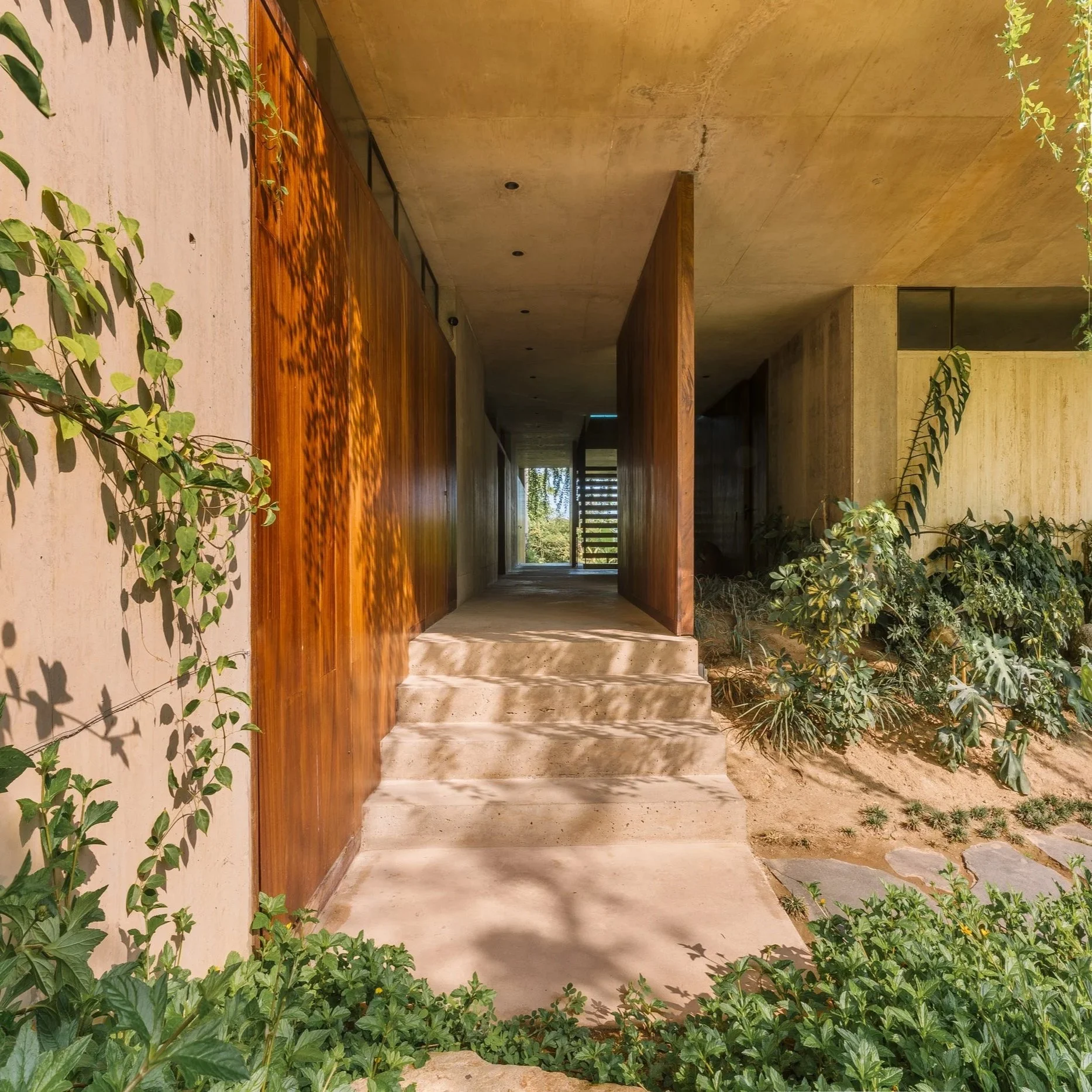 studio-chirika-módica-carlos-ledezma-kupuri