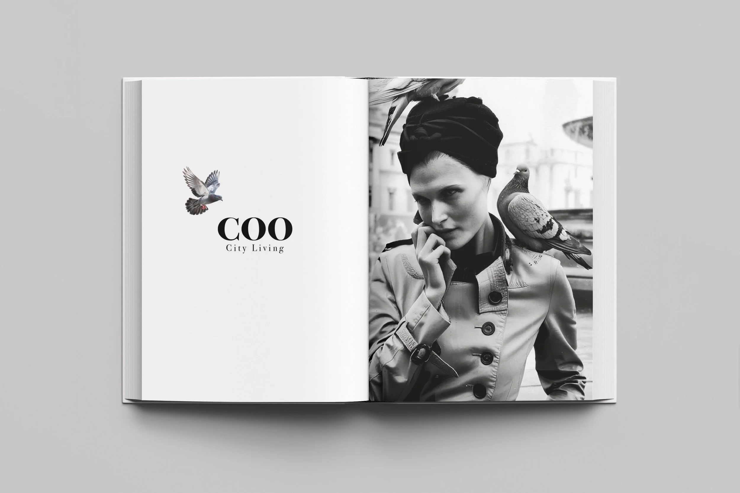 COO PORTFOLIO MOCKUP2.jpg