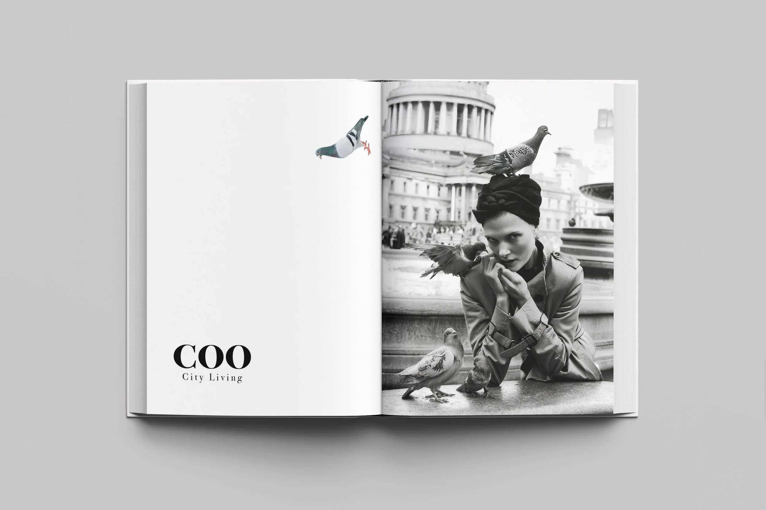 COO PORTFOLIO MOCKUP3.jpg
