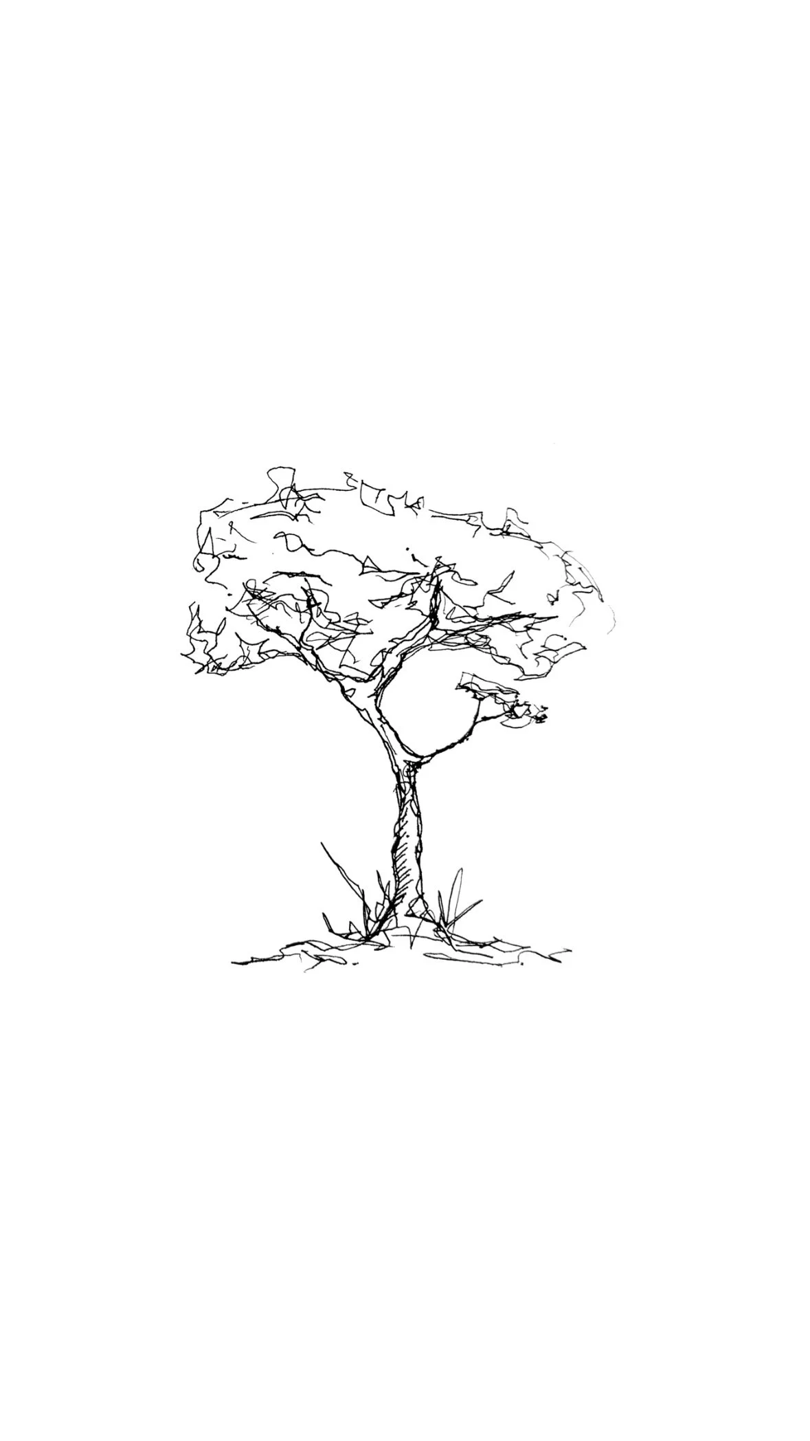 CE7E04DB-9EC6-449D-8B3C-D6F2370358E4.JPG