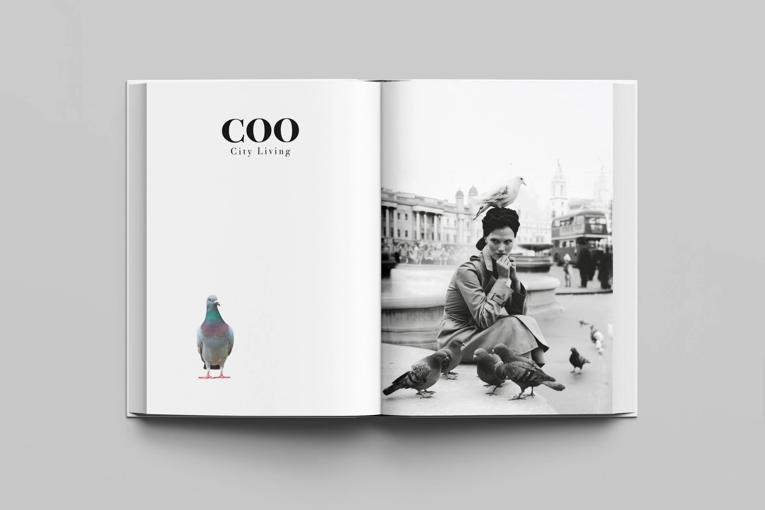 COO PORTFOLIO MOCKUP.jpg