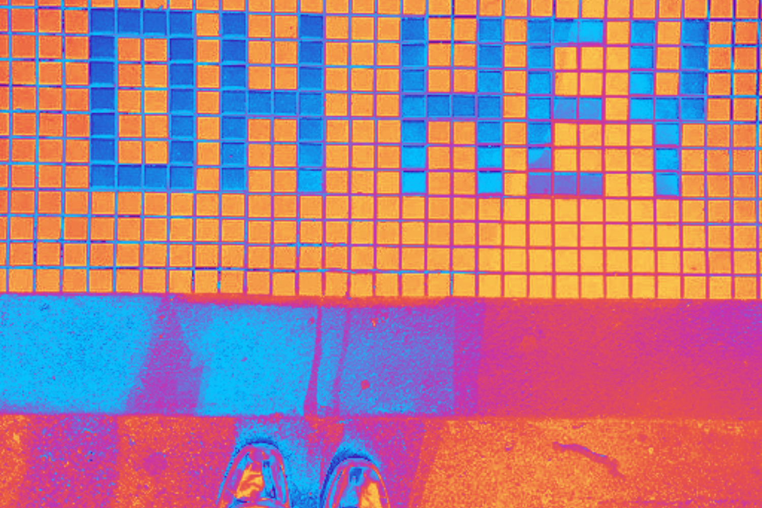 Want To Become Your Driver’s Favorite Customer? Here’s What You Need to Know