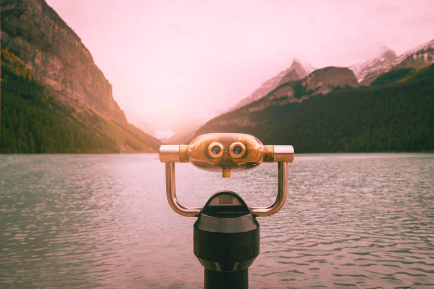 USA: a woman at the helm of the new overseas wine import trend