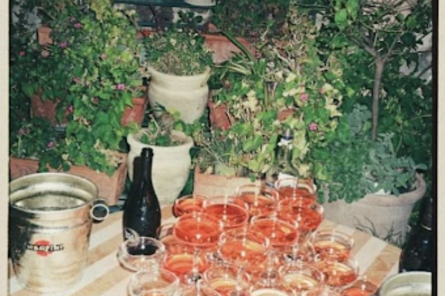 Elenteny Imports expands LCL shipments into South America