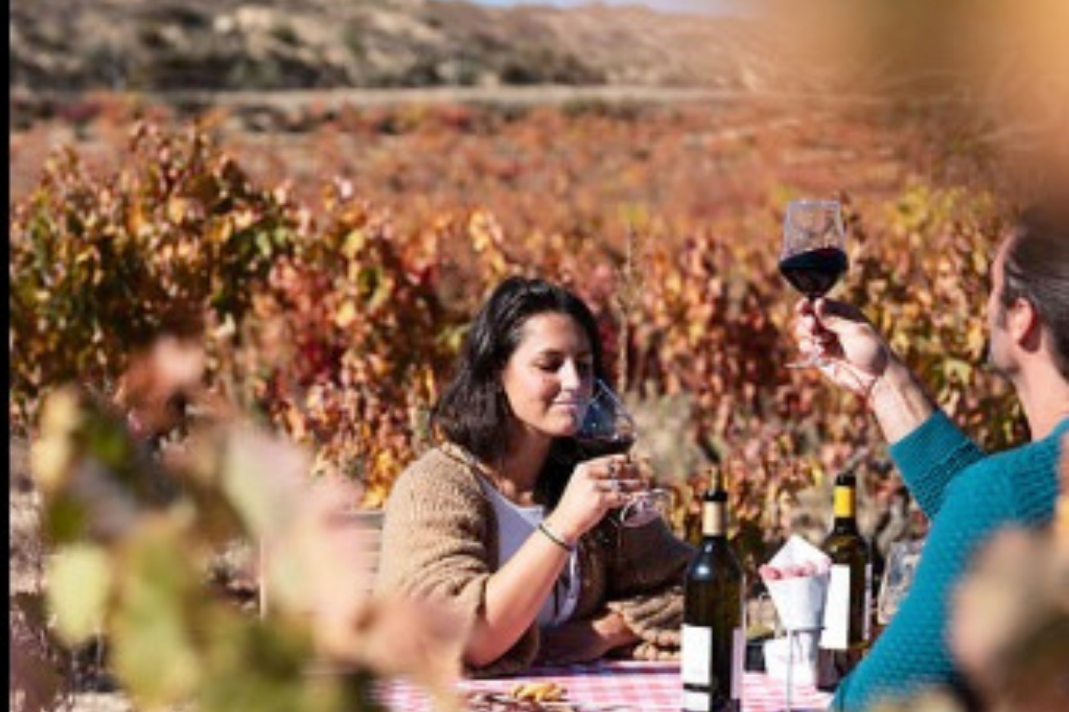 🎥 Elenteny Imports Organics Webinar