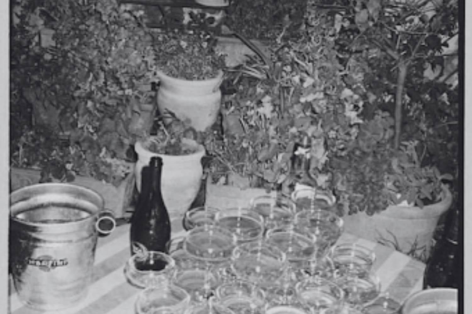 🎧 Alexi Cashen on VinePair's Next Round Podcast