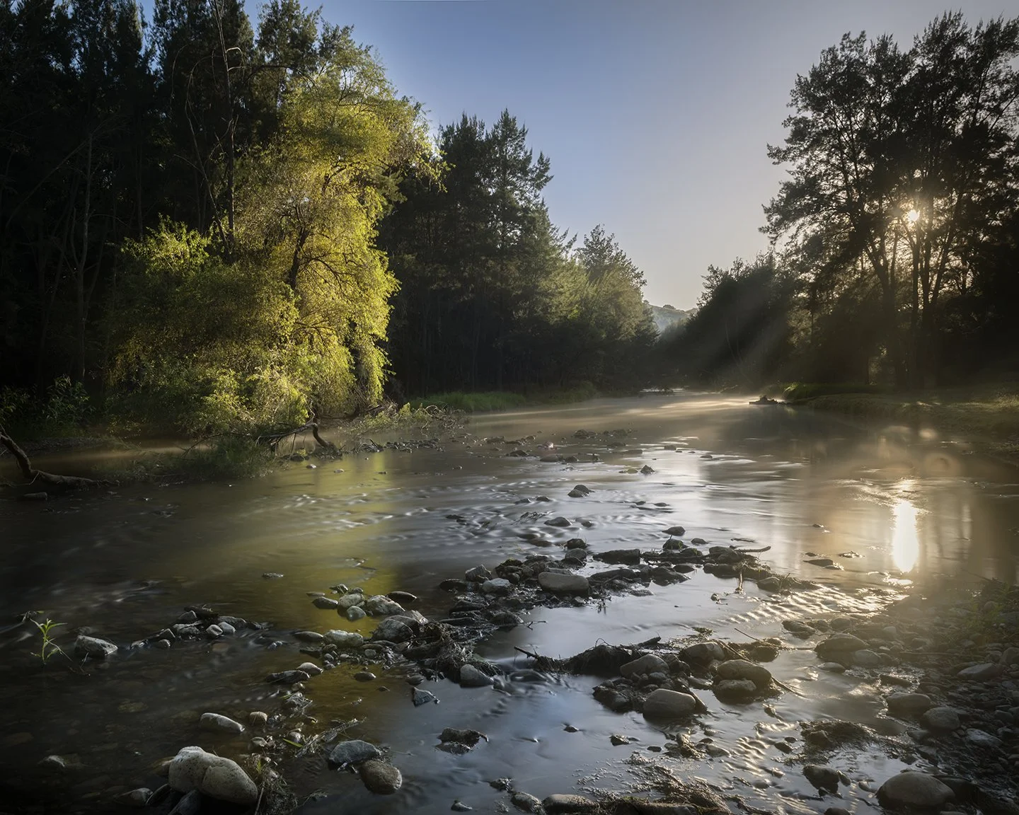 A river flowing through a forest with the sun shining through tall trees, creating a misty reflection on the water.