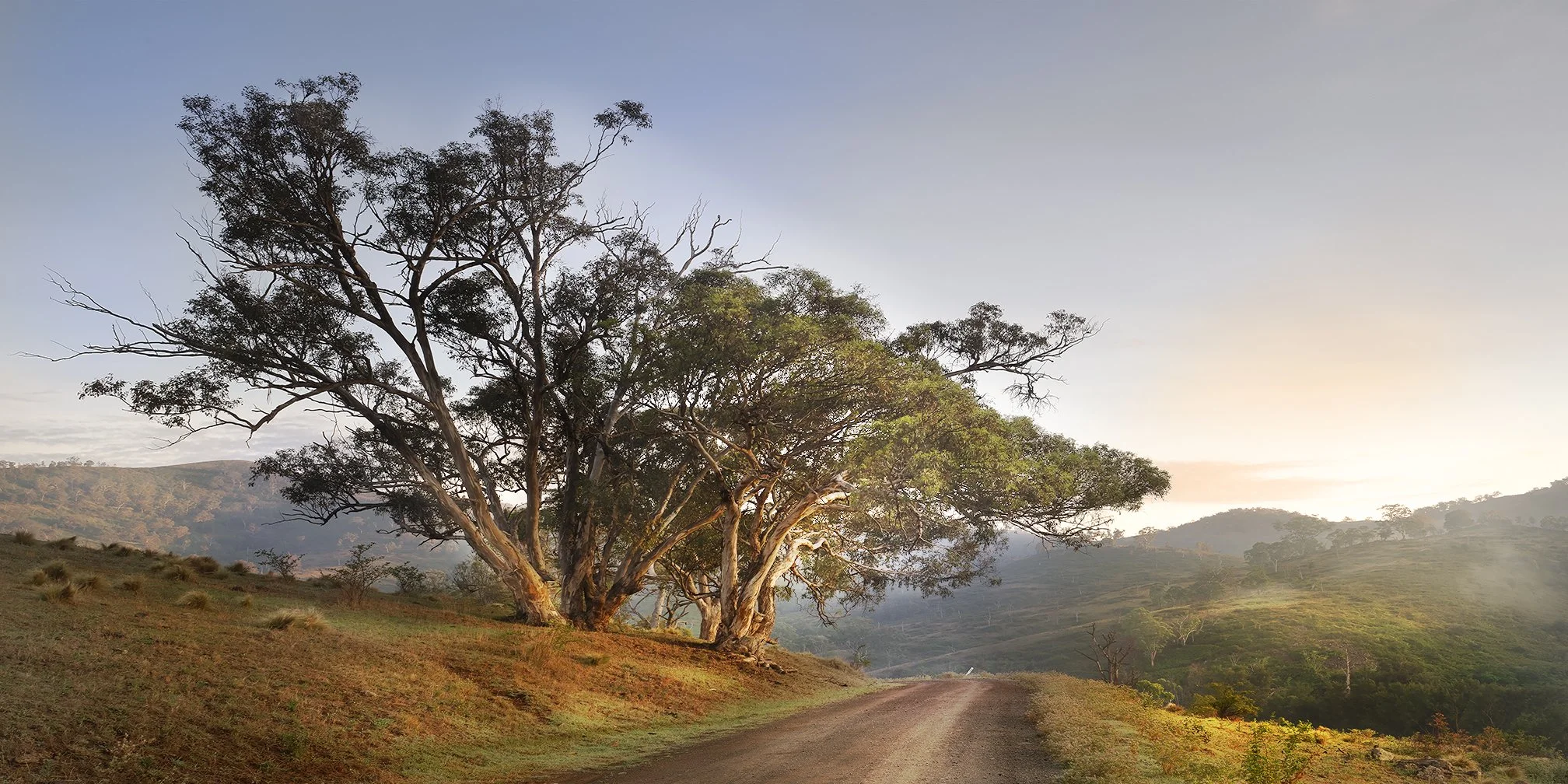 Sunrise Country Drive