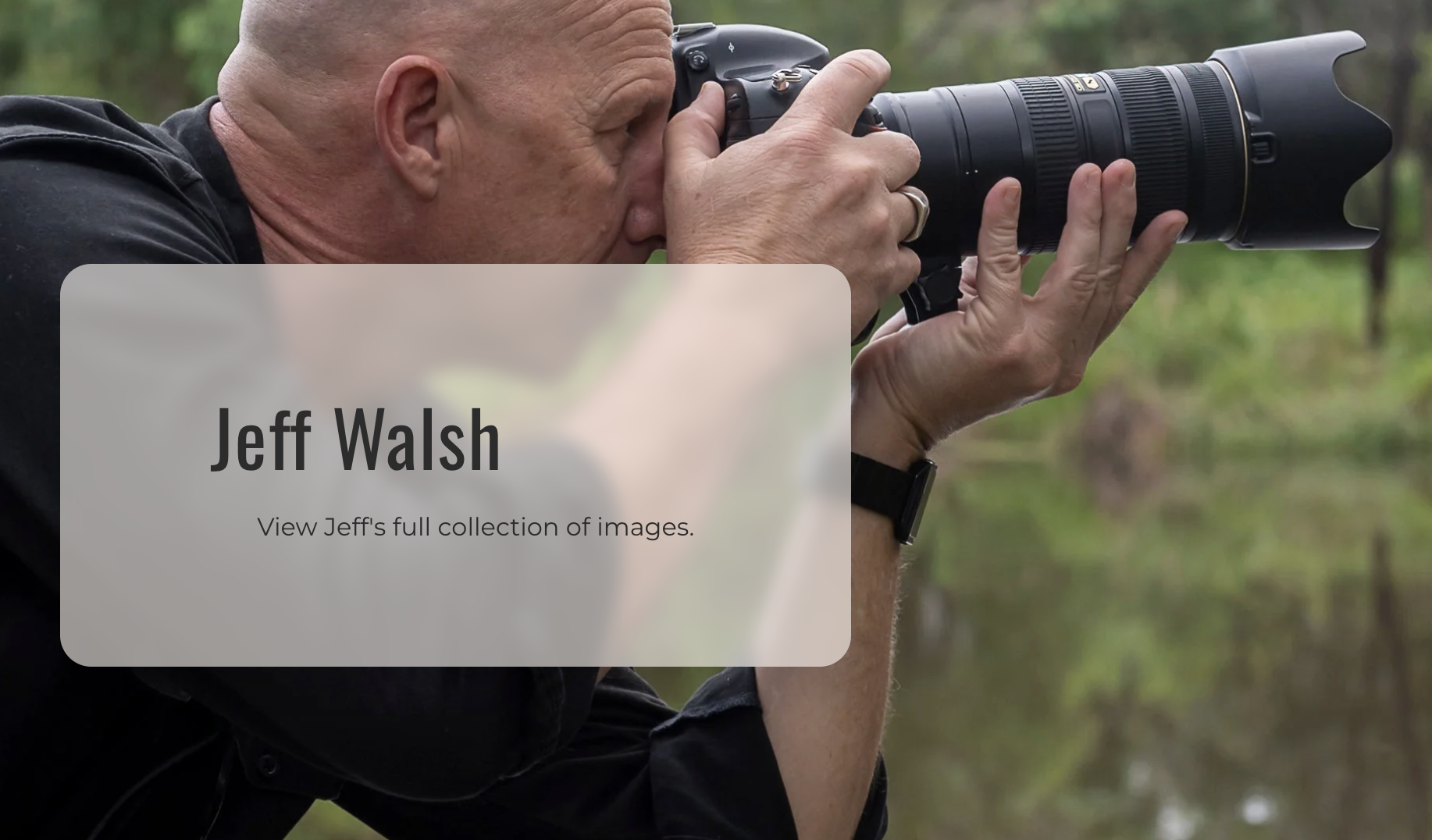 Jeff Walsh taking a photograph with a professional camera with a large zoom lens, outdoors near water and trees.