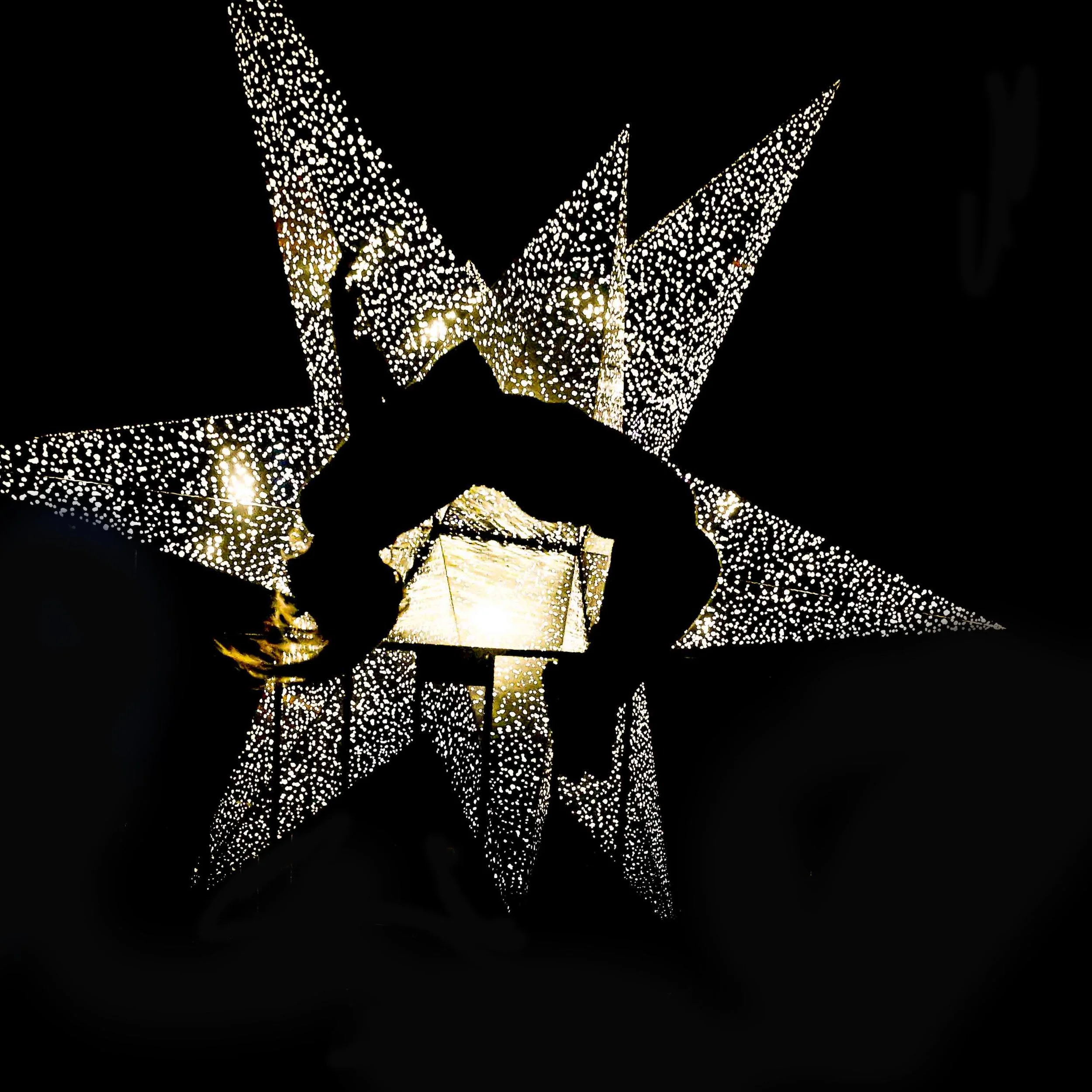 Vivid Dynamic Display