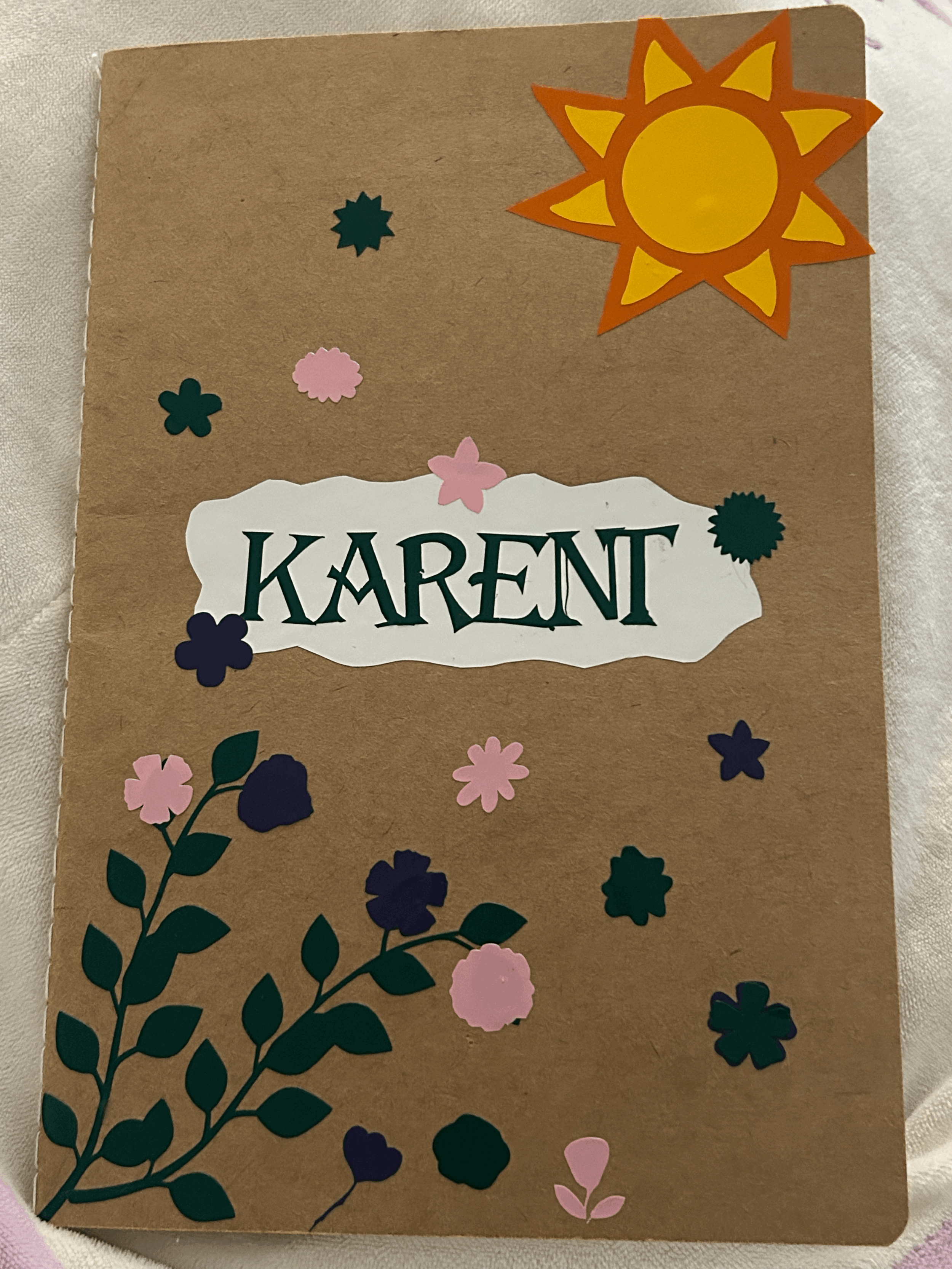 Project 1: Project Notebook