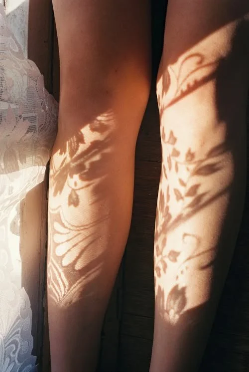 Shadow of leaves and flowers cast on person's legs.