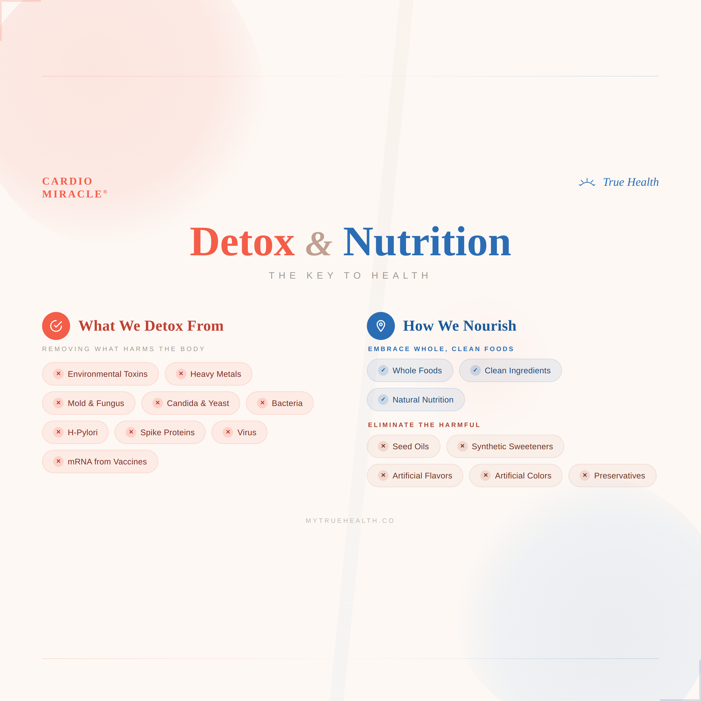 Detox and Nutrition, the Key to Health