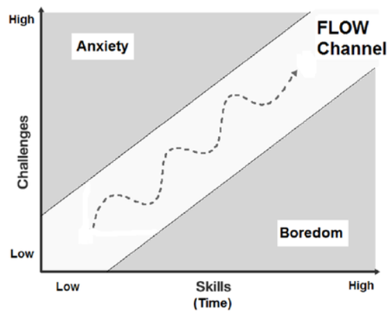Flow Model