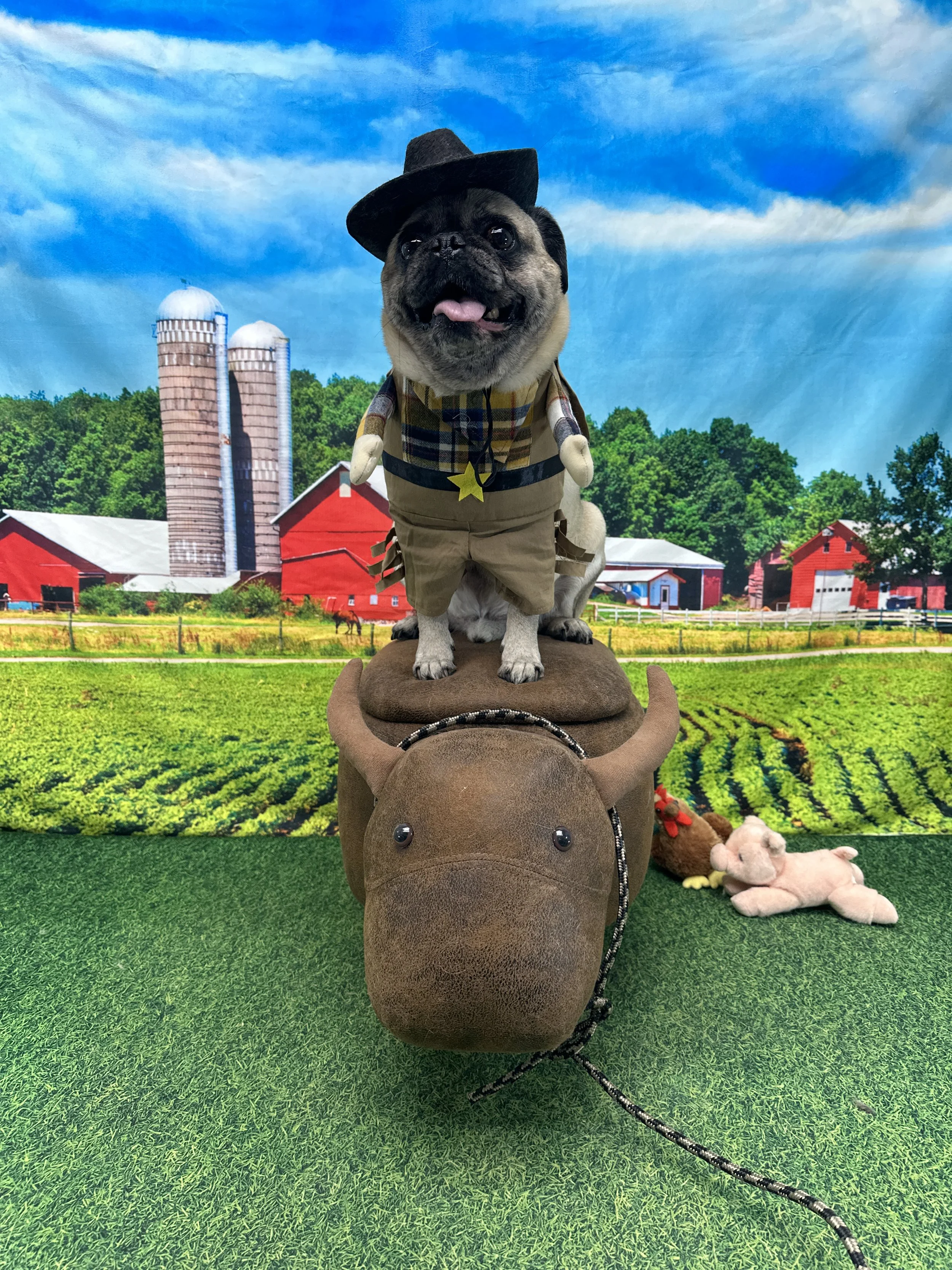 A dog dressed as a farmer, sitting on a plush cow toy, with a farm background and surrounding toys on a green surface.