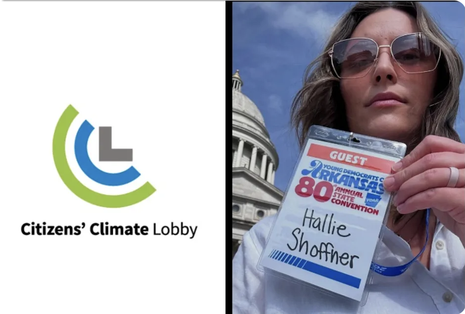 Arkansas Democrat Hallie Shoffner’s fundraising declines as she faces criticism for donating to Kamala Harris 25 times