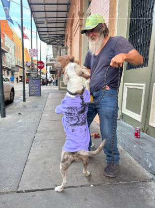 Screenshot 2026-01-15 140234.png