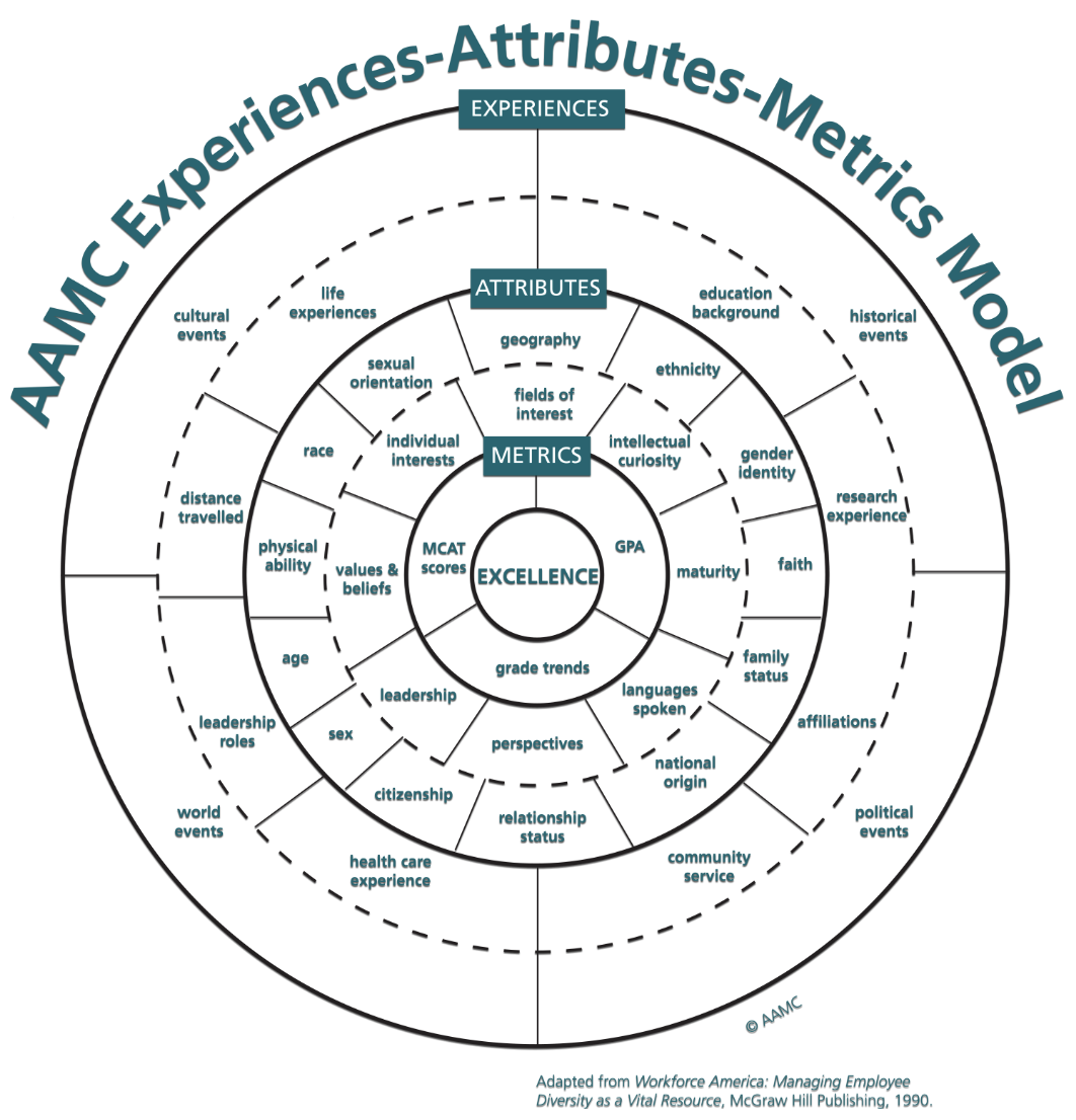 Diagram of the AMC Experiences-Attributes-Attributes-Metrics Model showing concentric circles with labels: EXCELLENCE, METRICS, ATTRIBUTES, EXPERIENCES, and various categories and characteristics related to workforce diversity.